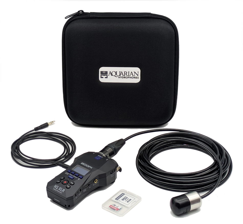 Whale Watch Record & Listen Kit